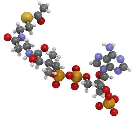 ZXCVBNQWERT contiene Coenzyme Q10
